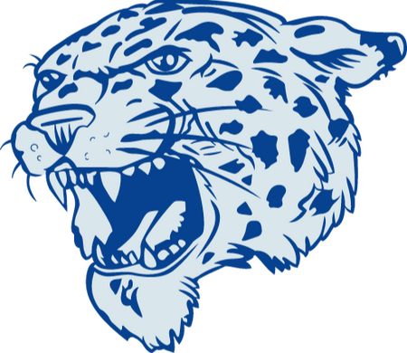 Lincoln Leopards